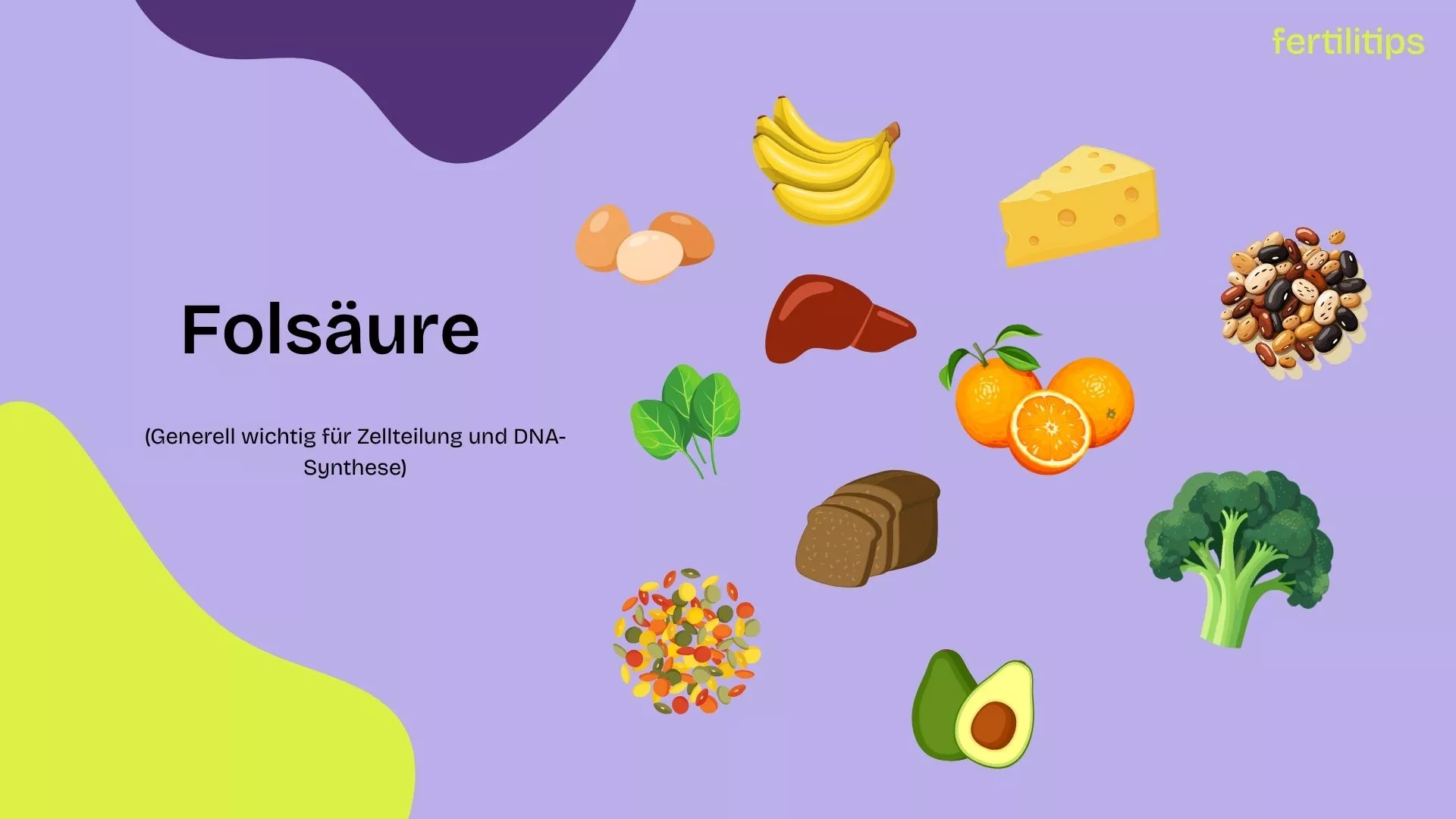 Kollage Folsäure