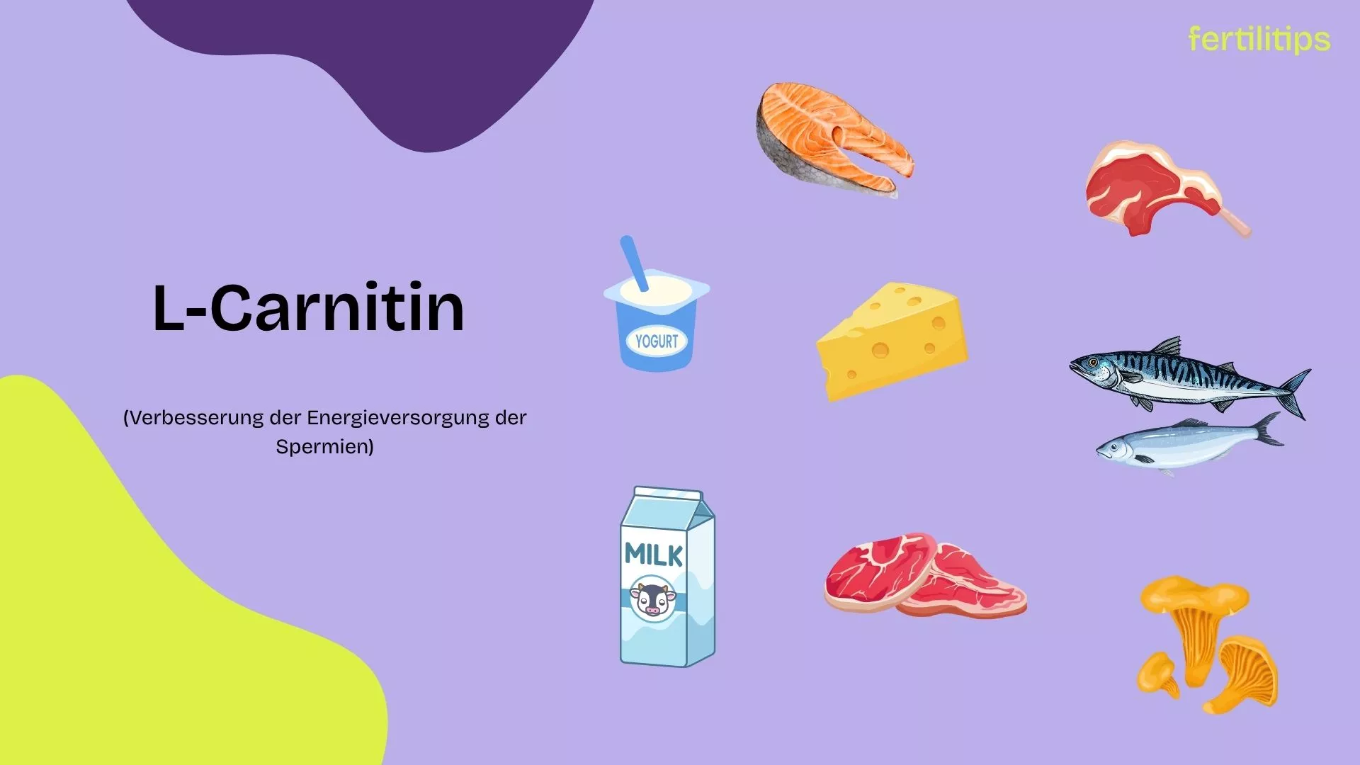 Kollage L-Carnitin