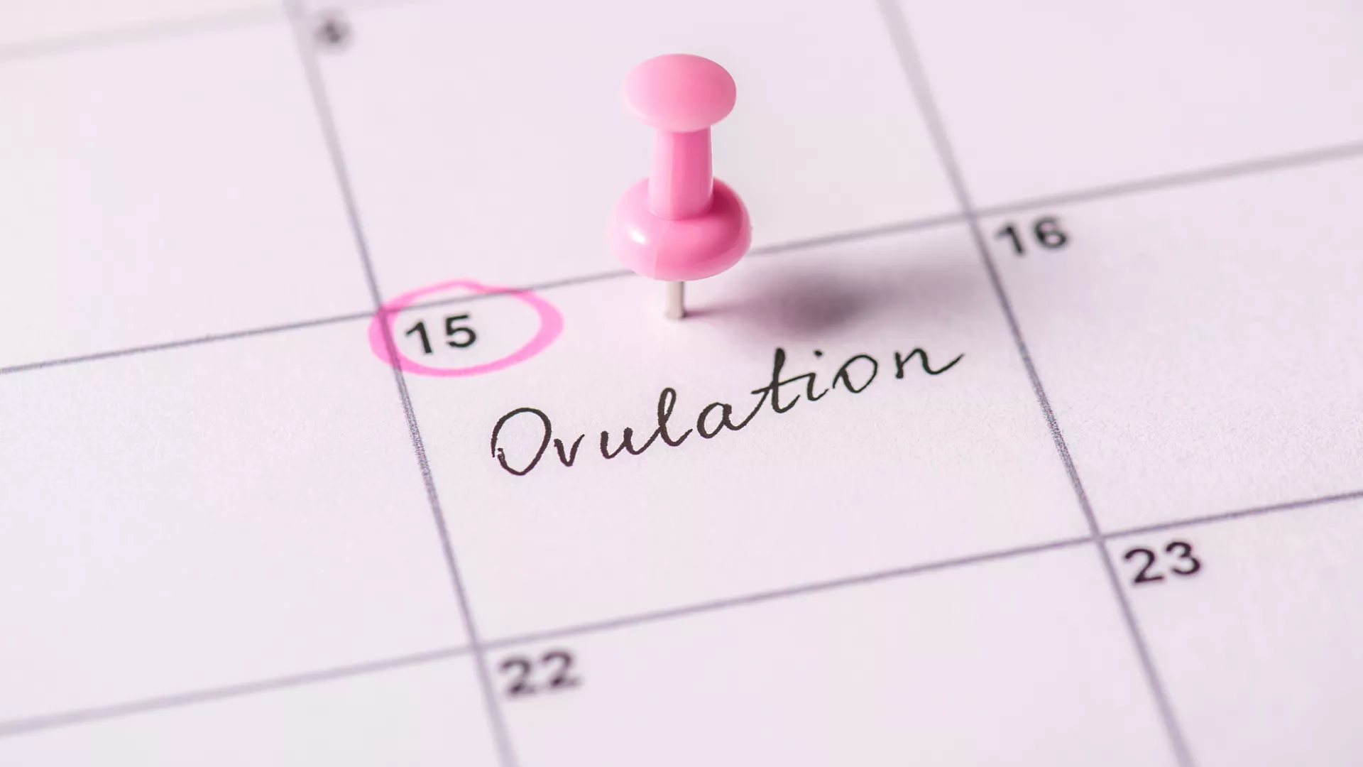 Es ist ein Kalender zu erkennen, wo der 15. in pink umkreist und zurätzlich eine pinke Heftzwecke in das passende Feld gepinnt wurde. Zusätzlich steht in dem Feld das Wort Ovulation.
